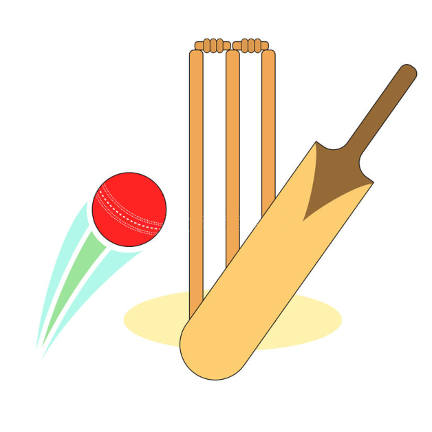 Cricket Kit Sets